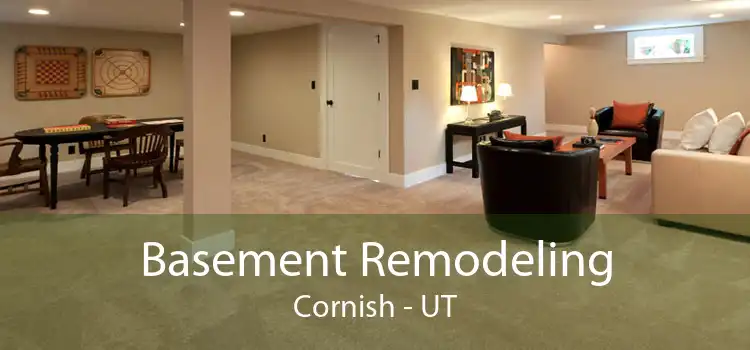 Basement Remodeling Cornish - UT