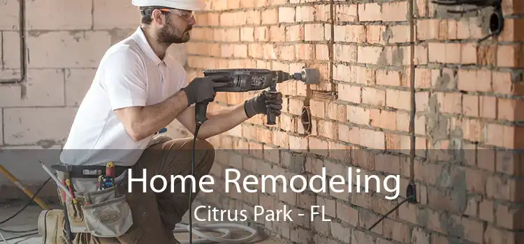 Home Remodeling Citrus Park - FL