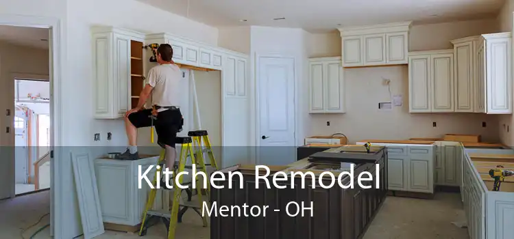 Kitchen Remodel Mentor - OH