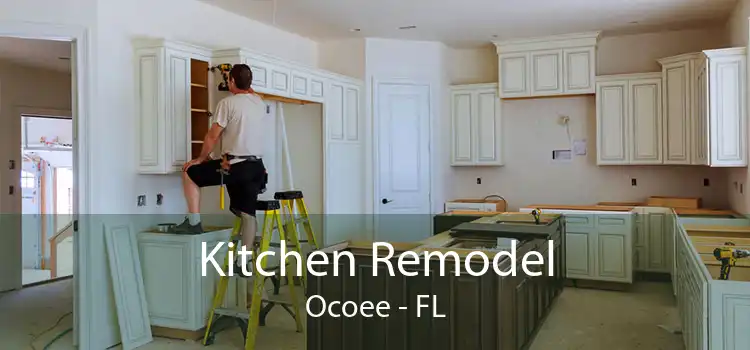 Kitchen Remodel Ocoee - FL